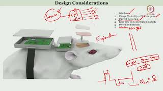 Lec 49 Electronic Systems for Brain Stimulation  I [upl. by Leahcimal]