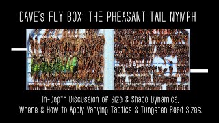 How to Fish the Pheasant Tail Nymph  A Deep Dive Into Everything You Need to Know to Be Successful [upl. by Reinhold]