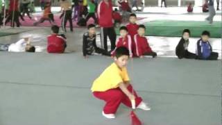 Imperial Kung Fu  Song Jiang Wushu School  Wushu Ditang [upl. by Josephine242]