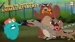 How to Survive Animal Attacks  Bear Dog Shark Komodo Dragon amp Giant Squid  The Dr Binocs Show [upl. by Ilrebmyk]