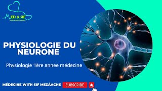 5 Physiologie du neurone  Physiologie 1ére MED [upl. by Tab]