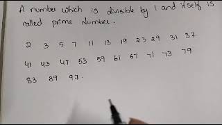 Prime Numbers 🔢 [upl. by Dickey]