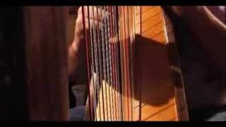 Carolans Dream  played on celtic harp [upl. by Neyuq356]