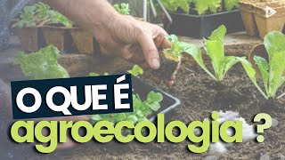 O QUE É AGROECOLOGIA [upl. by Melicent592]