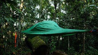 Welcome to the Jungle  Madidi National Park  Bolivia [upl. by Barbur]