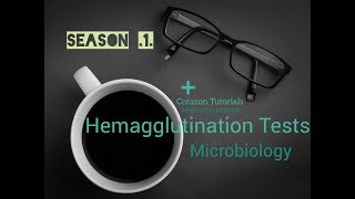 Hemagglutination tests Microbiology  Immunology  Antigen Antibody Reactions [upl. by Arhez]