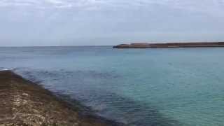 Tropical Beach in Ginowan Okinawa in December [upl. by Brian]