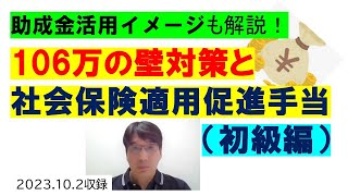 106万の壁対策の社会保険適用促進手当（初級編）キャリアアップ助成金の新設コースの活用イメージも解説【HIKARIチャンネル190】 [upl. by Nessim633]