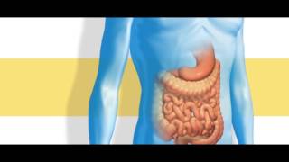 The Science Behind a Crohns Disease Treatment [upl. by Ehcadroj]