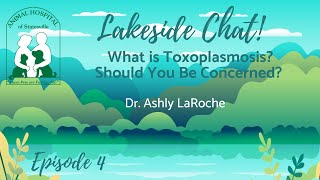 Toxoplasmosis  Lakeside Chat 4 [upl. by Thorr]