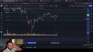 LTC Price Predictions 2600 Dollar Cycle High [upl. by Theresita700]