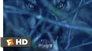 Van Helsing 2004  Werewolf on the Loose Scene 110  Movieclips [upl. by Tuorah]