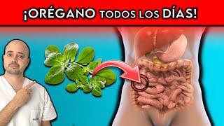 Por qué DEBES consumir OREGANO Todos los días Importantes propiedades medicinales [upl. by Earle941]