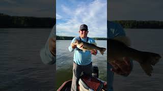 Summer Bass on a Rapala DT10  Shearon Harris [upl. by Bechler]