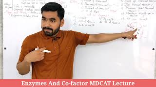 Enzymes MDCAT Lecture  Cofactor Of Enzymes Class 11  Types Of Enzymes  Lecture No 01  CHNo 03 [upl. by Dimah]