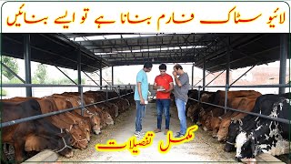 Feedlot Fattening Farm ManagementMechanised livestock farmingMeat farmکمرشل لائیو سٹاک فارم کا [upl. by Domonic]