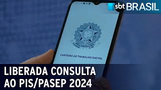 Governo libera consulta ao abono PISPasep 2024  SBT Brasil 050224 [upl. by Eemyaj903]