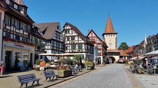 Süd Schwarzwald Black Forest Germany [upl. by Elaval788]