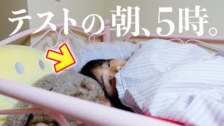 テスト当日の朝、5時に早起きして【平日のモーニングルーティン】 [upl. by Aibara394]