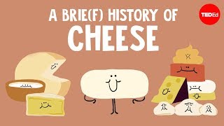 A brief history of cheese  Paul Kindstedt [upl. by Eilsew27]