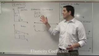 Elasticity of Demand and Supply Coefficients Micro Topic 24 and 25 [upl. by Nosac]