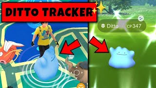 New Trick To Catch Shiny Ditto in Pokemon Go  Pokemon Go New Trick [upl. by Ahsatal991]