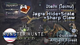 ไอเทม MHW  Jagra HideScale  Sharp Claw  Ancian Forest  Monster Hunter World Item [upl. by Kired]