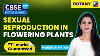 Sexual Reproduction in Flowering Plants Class 12 Biology Chapter  CBSE Exam 2023  Pankhuri Maam [upl. by Inoj899]