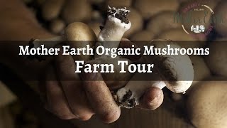 Mother Earth Organic Mushrooms Farm Tour [upl. by Halyhs]