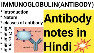 IMMUNOGLOBULIN notes in Hindi ANTIBODY Ig GIg MIg AIg D Ig E lecture in Hindiantibody notes [upl. by Hanoy]