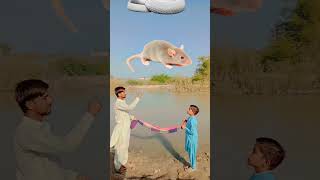 Bakra Eid Mubarak islamicvideo shortvideo viralshort islamic islamicshorts [upl. by Relyt529]