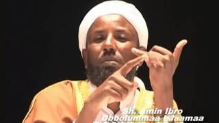 Sheikh Amin Ibro Obbalummaa Islaamaa part 2 [upl. by Nerak110]