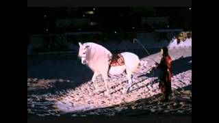 Dancing Friesian Horse At Medieval Times [upl. by Millicent586]