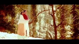 Gandeevam Movie Songs  Goruvanka Valagaane  ANR  Bala Krishna  Roja [upl. by Omlesna572]