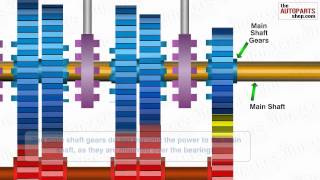 How Car Transmission System Works [upl. by Locklin453]