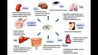 💧What are the HEALTH BENEFITS of HYDROGEN WATER [upl. by Keeler]