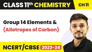 Class 11 Chemistry Ch 11  Group 14 Elements Allotropes of CarbonThe pblock Elements [upl. by Uranie]