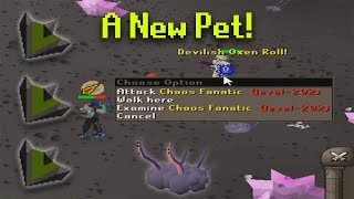 Road To All Pets  A New Pet  Lucky In The Wrong Places  Vorkath Pet Hunt OSRS [upl. by Corvin]