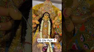 I Q City Duga Puja durgapuja2024 [upl. by Fowle]