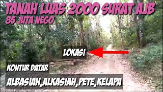 Dijual Tanah Kebun Luas 2000Akses Mobil Kontur Datar 85 JUTA NEGO [upl. by Bihas]