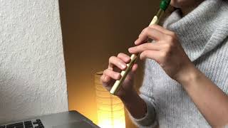 Glenside Polka Irish Traditional ケルトの笛 初心者 アイリッシュの歌 Tin Whistle Celt Irish Traditional Irish [upl. by Ahsed444]