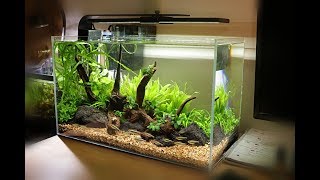 NonCo2 Aquascape Setup  Waterbox Clear 10 [upl. by Gerita]