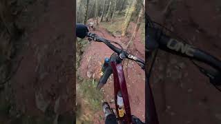 This trail is too good 🔥 mtb enduro dh cycling bike YouTubeChamps [upl. by Weight]