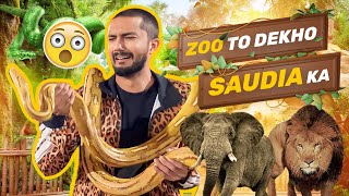 Zoo To Dekho Saudia Ka  Hussain Tareen New Vlog [upl. by Nadean]