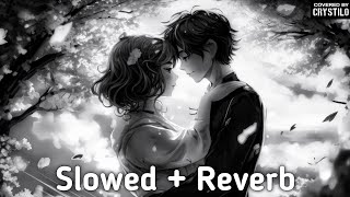 Indila  Love Story  EPIC Orchestral Cover Slowed  Reverb [upl. by Nnaylloh]