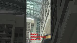 Gaylord Hotel Inside View [upl. by Fish573]