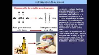 3º Biol  Lípidos saponificables acilglicéridos ceras parte II [upl. by Arleta566]