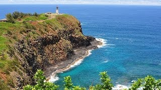 Kilauea Point [upl. by Nodyroc348]