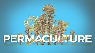 What is Permaculture And Why Should I Care [upl. by Aipotu]