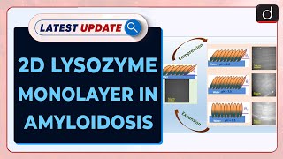 2D Lysozyme Monolayer in Amyloidosis  Latest update  Drishti IAS English [upl. by Nostrebor]